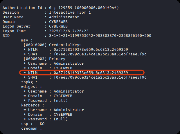 image-20251206172944088