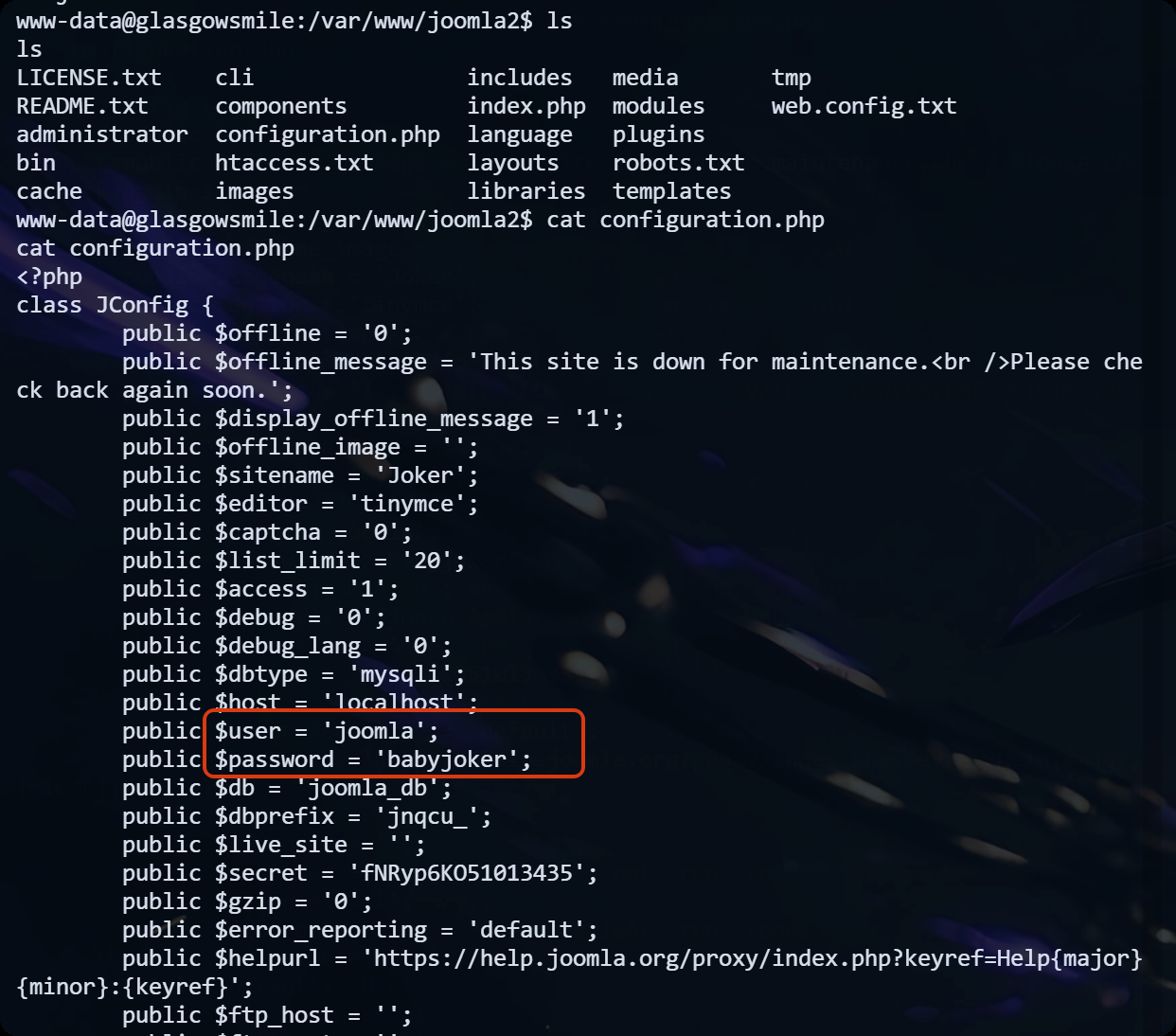 image-20250717154513600