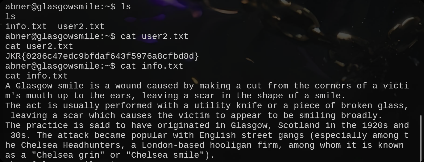 image-20250717232918887