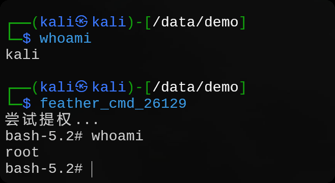 image-20250727132548129