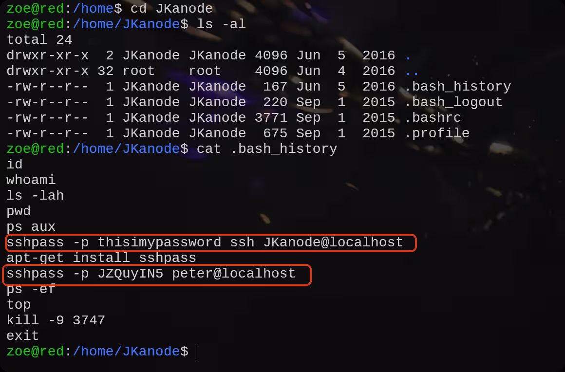 image-20250812144337414