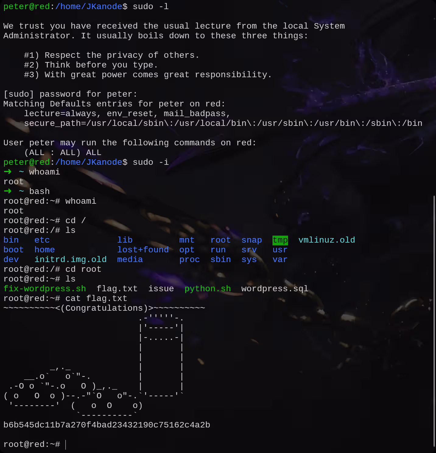 image-20250812153345178