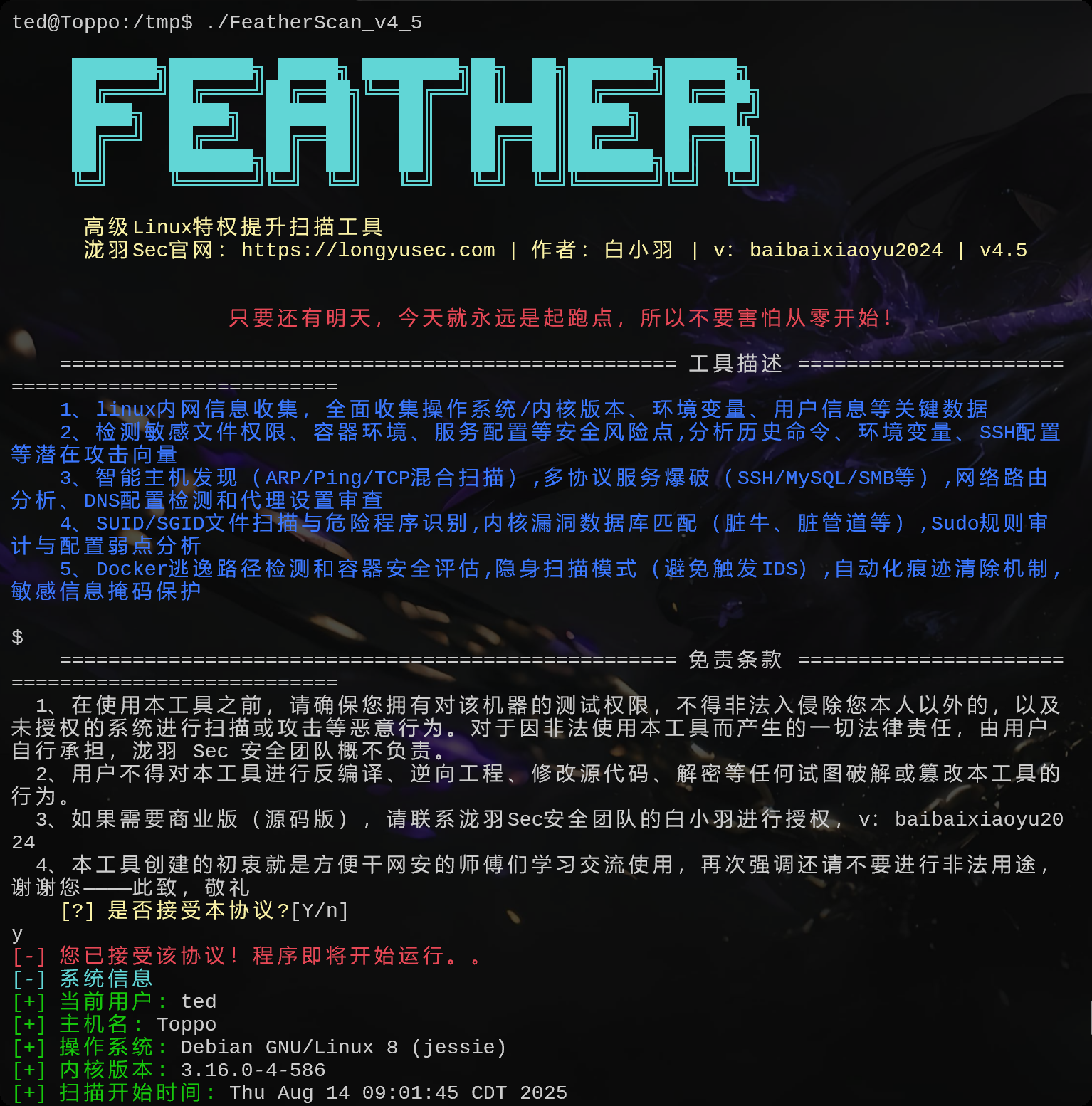 image-20250814140403074