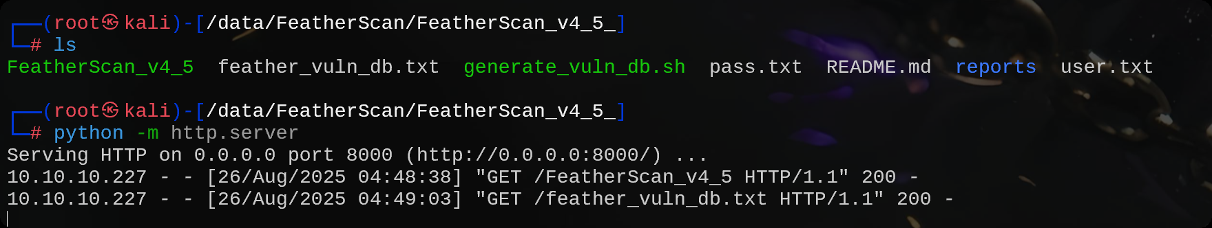 image-20250826165249653