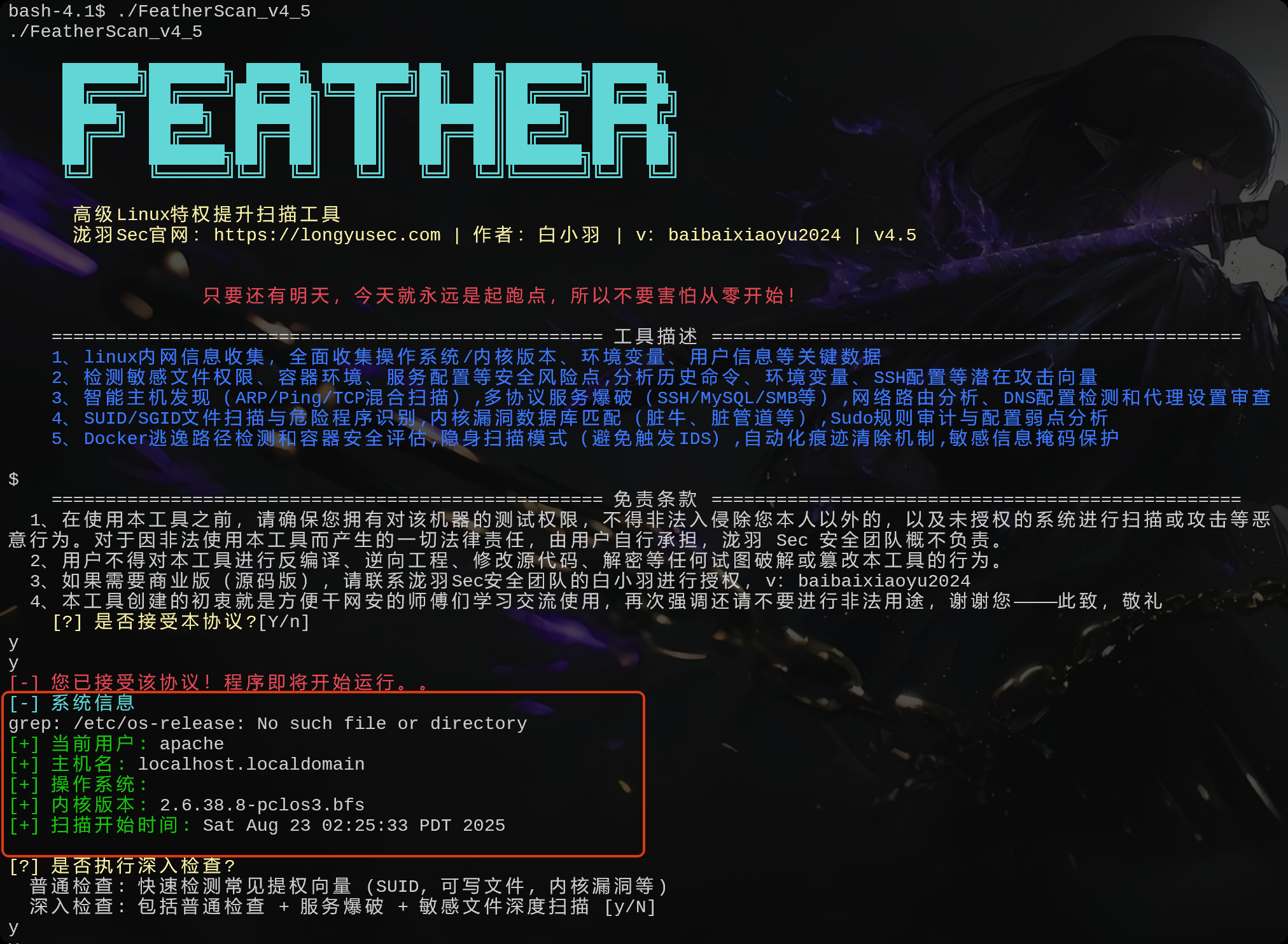 image-20250826165534112