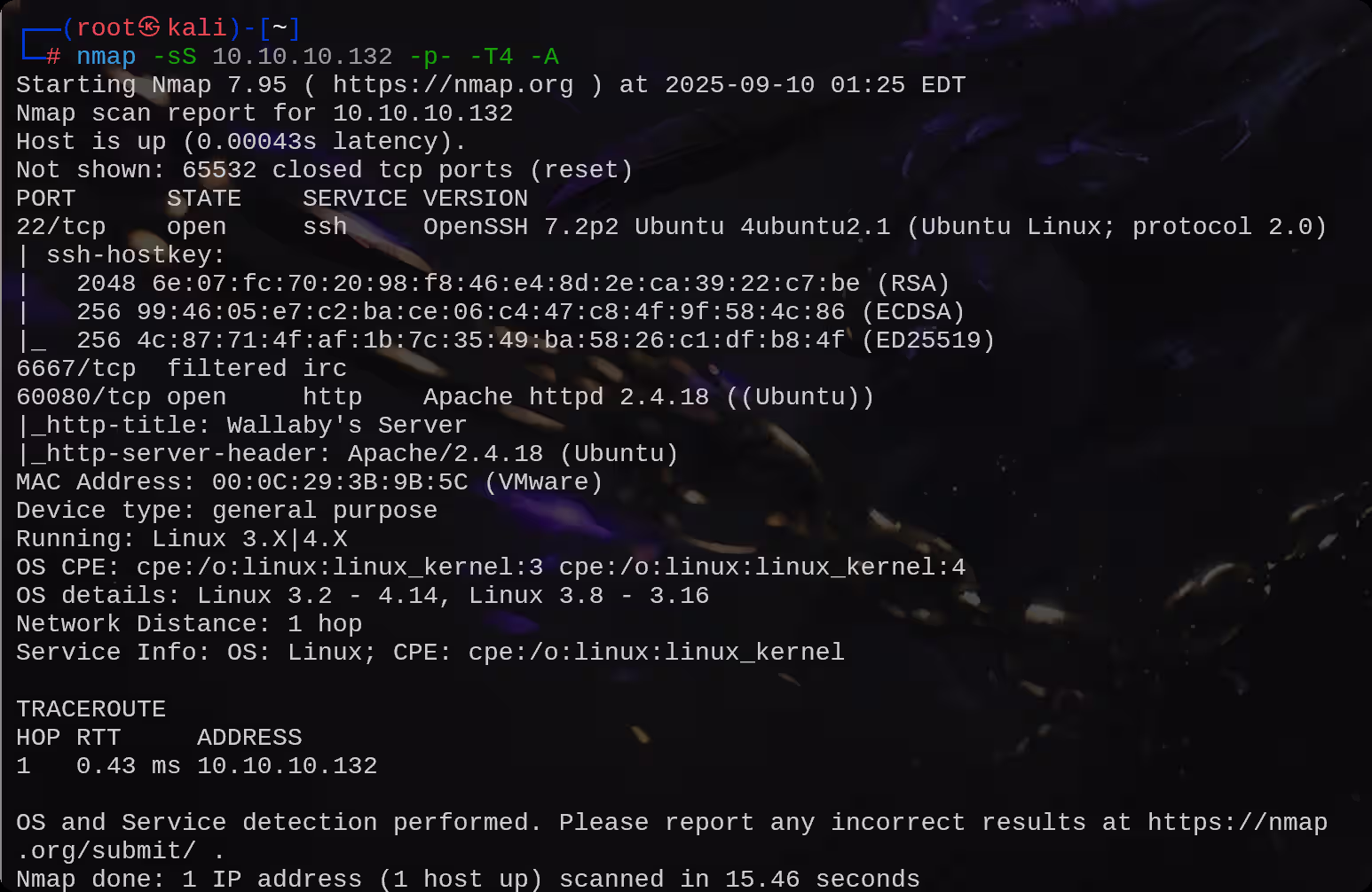 image-20250910132649164