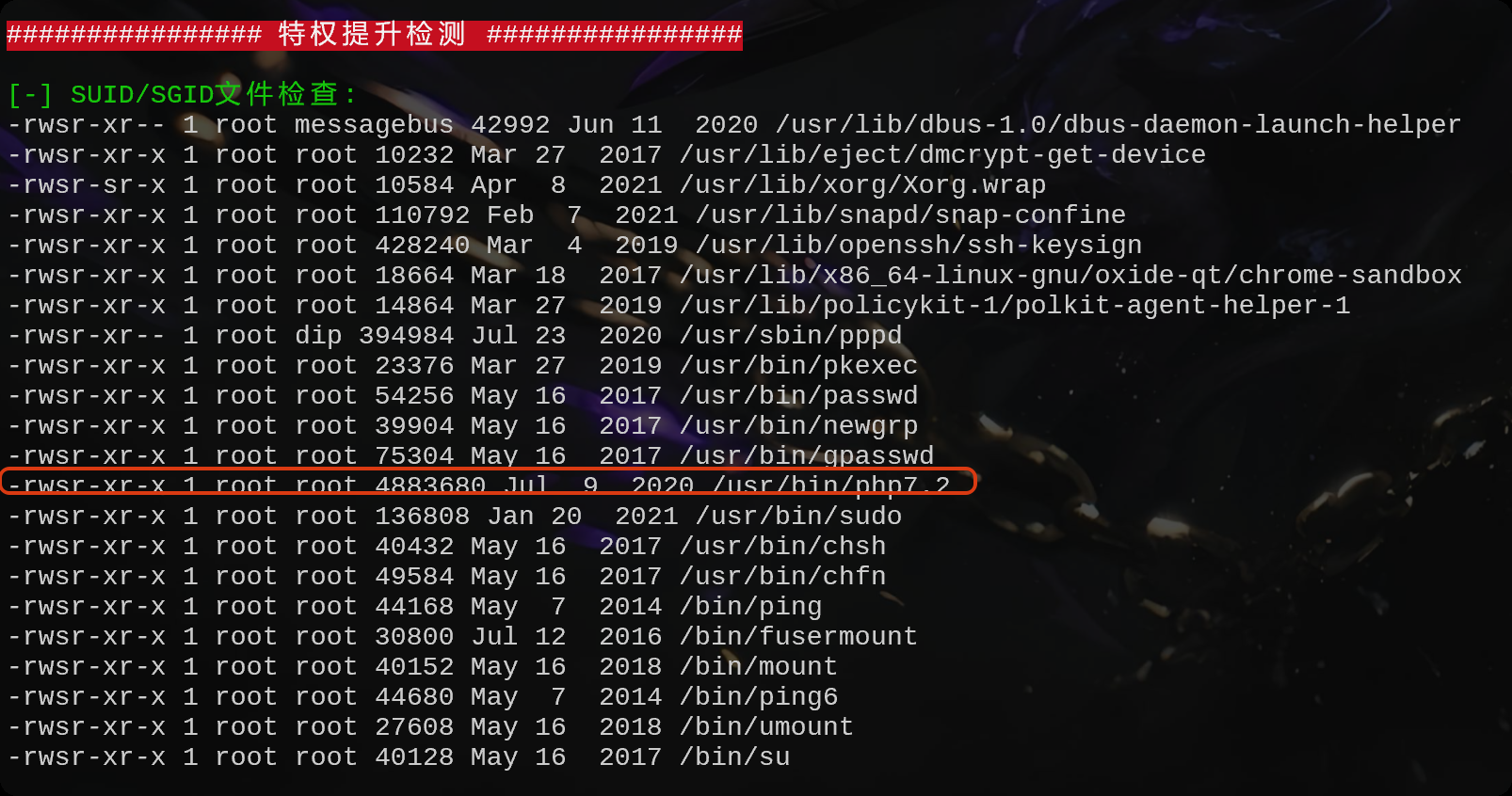 image-20250910204558427