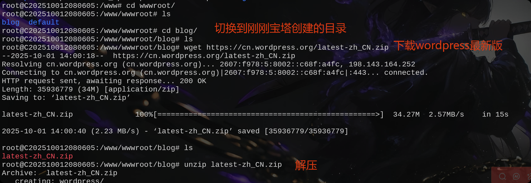 image-20251001220228994