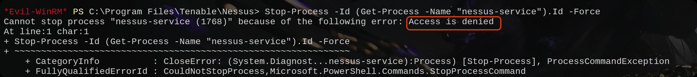 image-20251020200529287