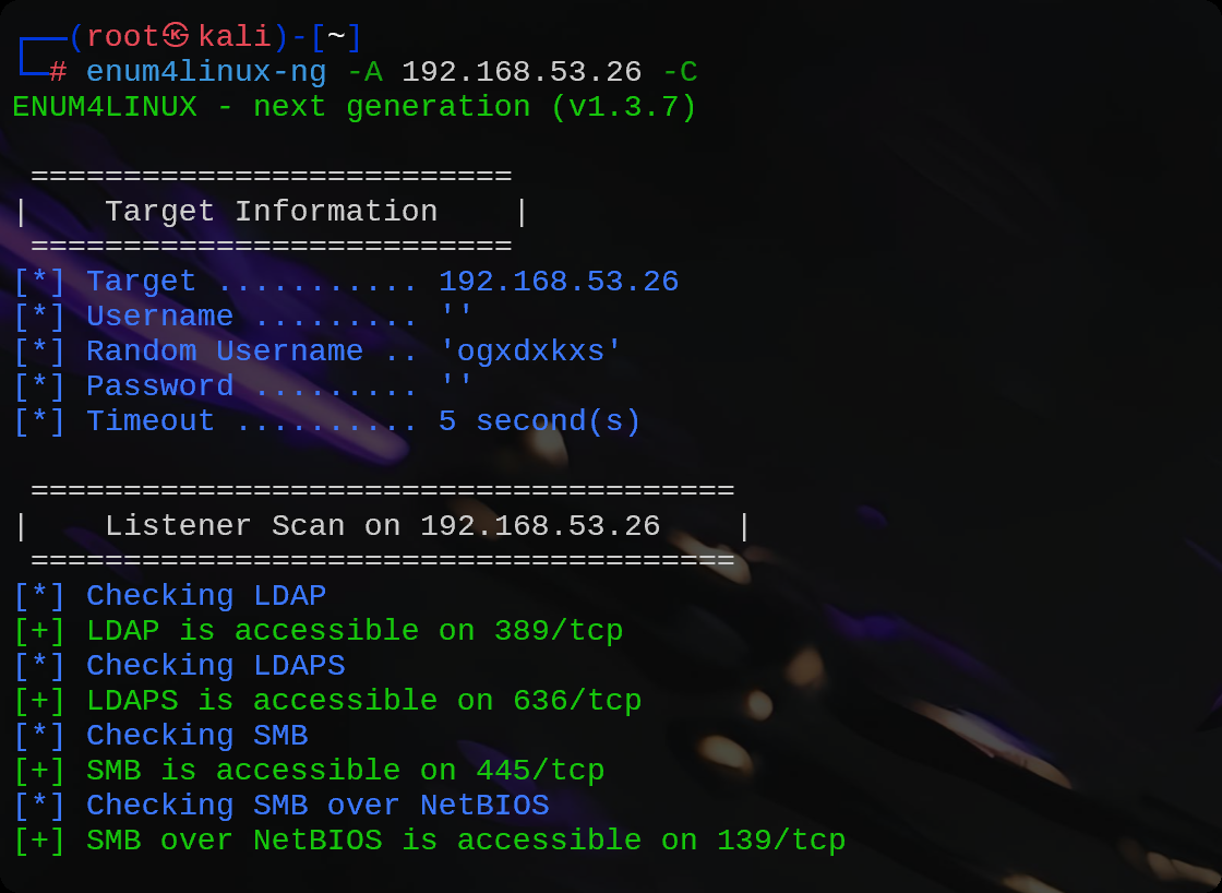 image-20251023113555803