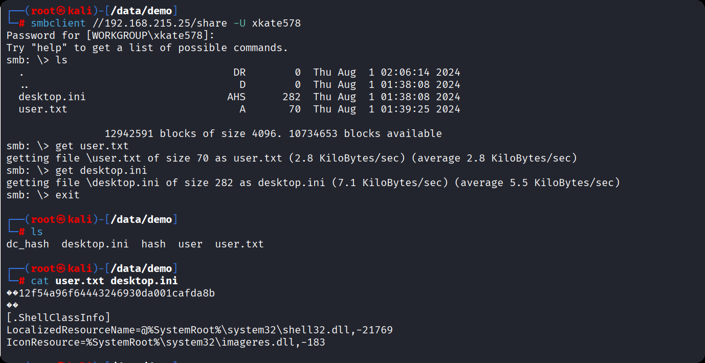 image-20251025201951227