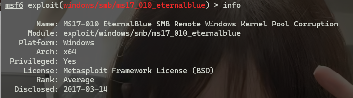 image-20251107133410733